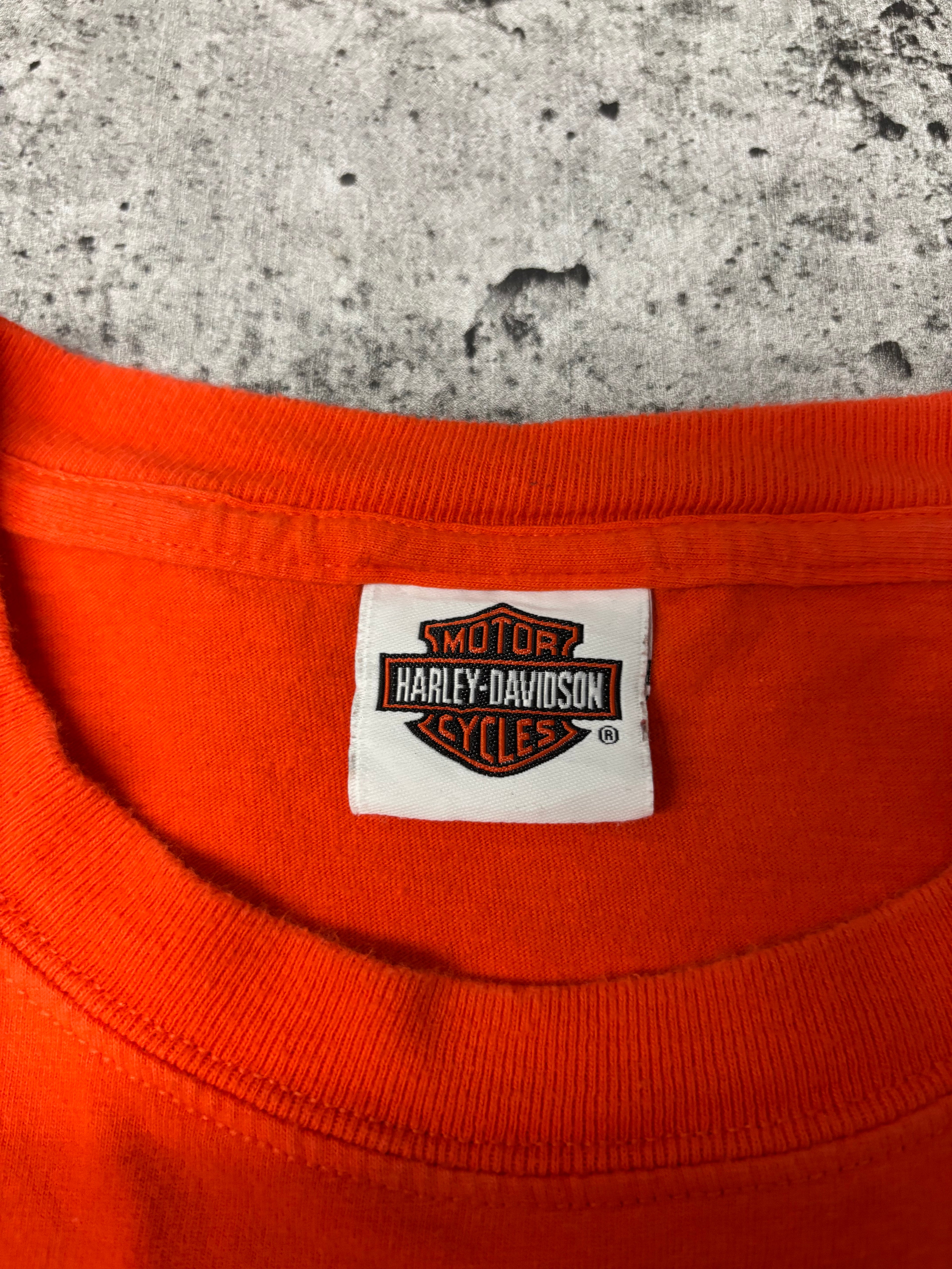 Vintage Harley Davidson Tee (L)