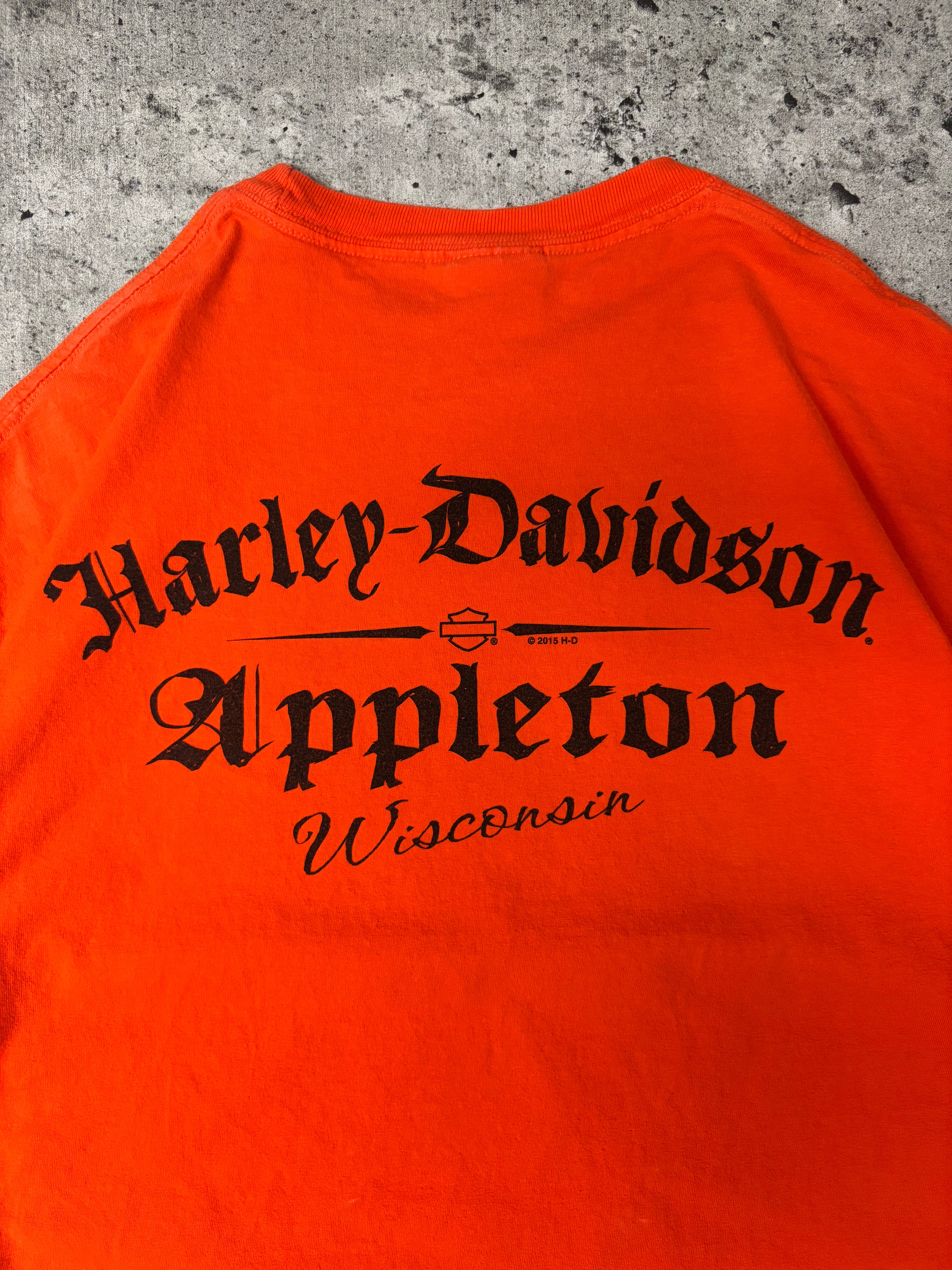 Vintage Harley Davidson Tee (L)